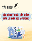 Tài liệu Đặc tính kỹ thuật dây nhôm trần lõi thép bọc mỡ [ACKP]
